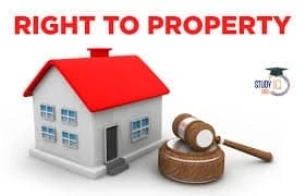 The Difference Between Men and Women When It Comes to Keller Property Management