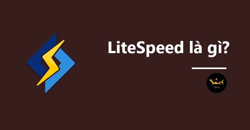 LiteSpeed Là Gì? Những Lợi Ích Của LiteSpeed Web Server Đem Lại