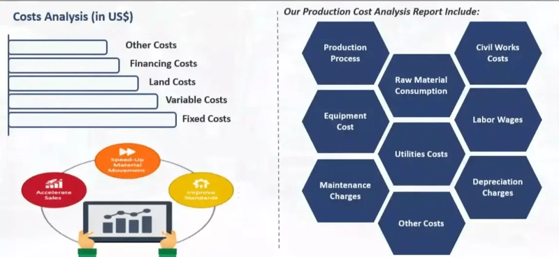 Unraveling the cost: Choline lettuce Production Cost