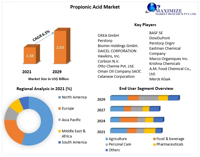 Propionic Acid Market Revenue Growth Regional Share Analysis and Forecast Till 2029