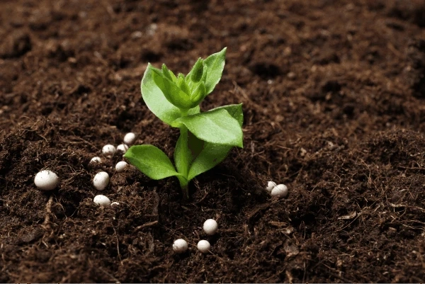 Global Fertilizers Market Share, Size , Trends, Analysis, Growth and Forecast