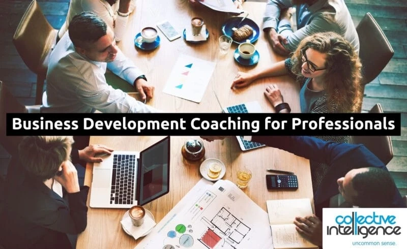 Benefits of Business Development Coaching