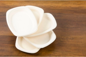 Bagasse Plates, Bowls & Containers