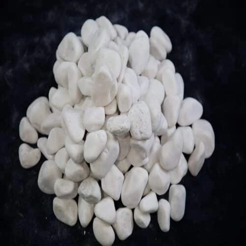 Effective Ways To Place White Pebbles In The Garden 