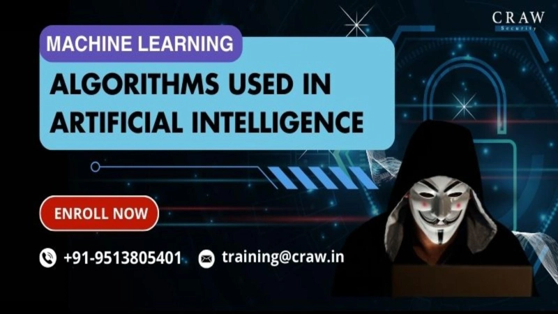 Best Machine Learning Algorithms Used in Artificial Intelligence