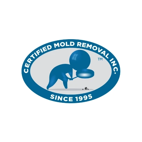 An Ultimate Guide to Different Types of Mold Inspection Hunterdon County NJ