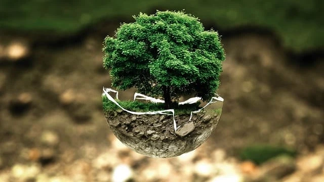 Eco-friendly Products: Incorporating Corporate Gifts in Business
