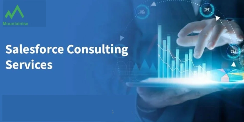 Growth Strategies for Salesforce Consulting Partners