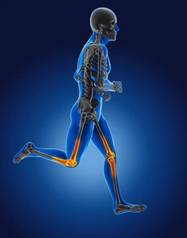 Opening the Secrets of the Human Body: Investigating a Human Life structures and Physiology Course in 2024