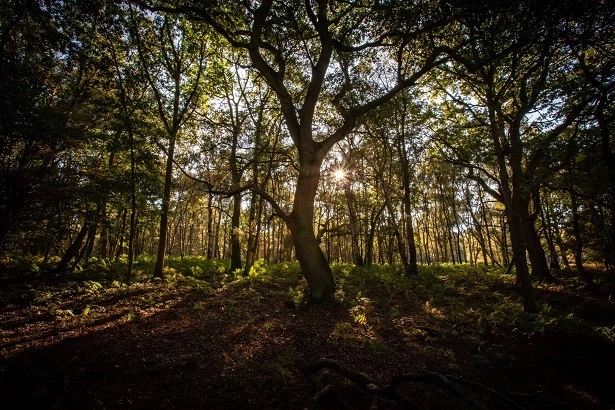 When a Property is Listed as Abandoned Property in the UK
