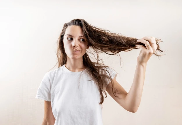 Looking For the Best Products For Dry Hair?