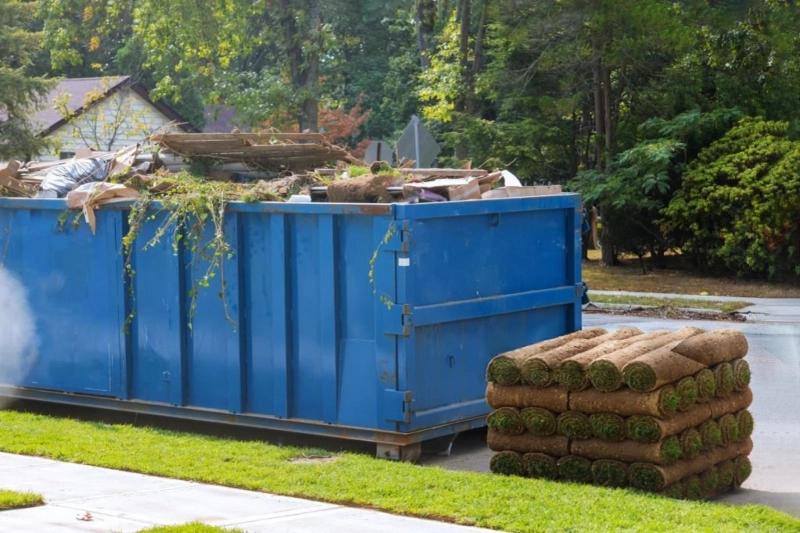 What Makes a Dumpster Rental in Reno, NV Truly Affordable?