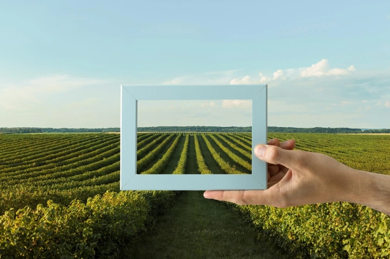 Top Agriculture Analytics Companies Using AI To Solve Agri-Problems