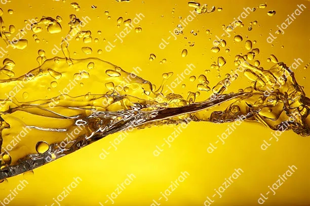 Professional leak detection companies