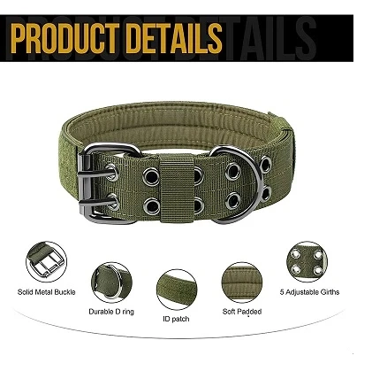 3 Trending Accessories For Dogs You Must Buy