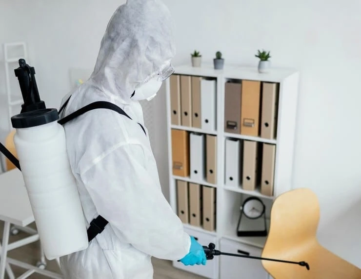 A Furniture Treatment For Bed Bugs Guide