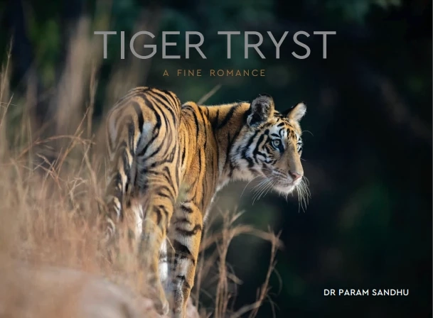 Wilderness Wonders: Embarking on a Serene Journey with 'TIGER TRYST A FINE ROMANCE'