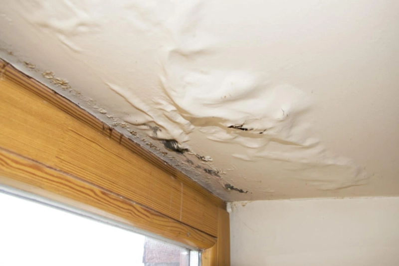 Can Water Damage Cause Health Risks In My Home?