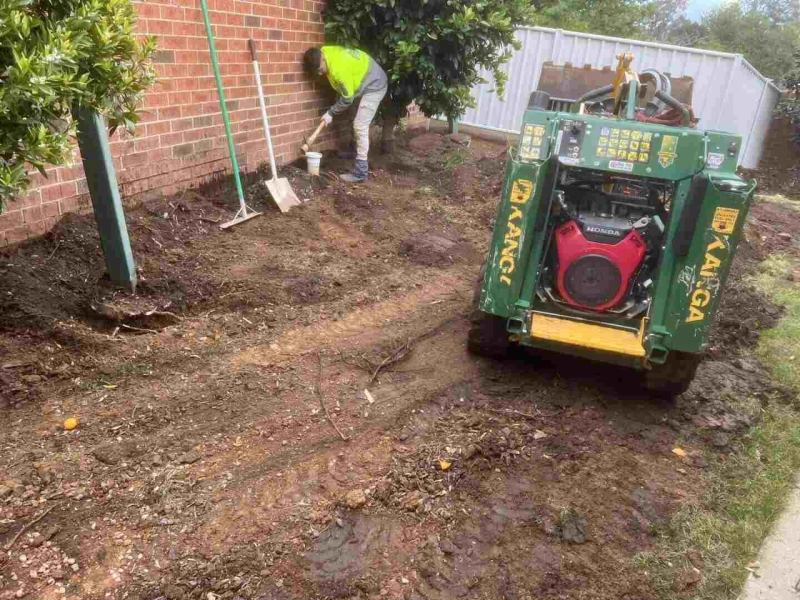 Boosting Soil Fertility: The Power of Compost and Organic Matter