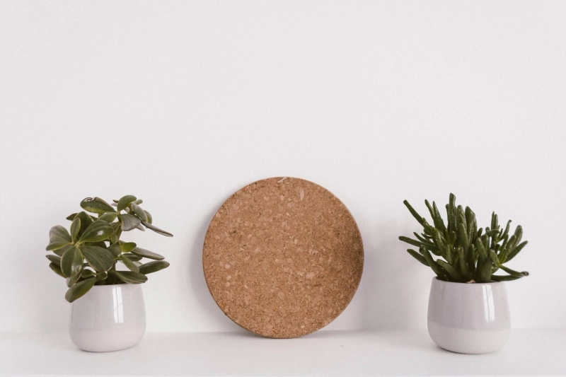 Things That'll Help Make Your Home More Eco-Friendly