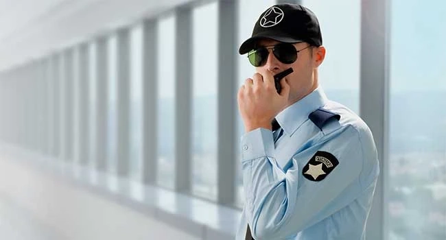 The Backbone of Business Compliance: Trusted Maryland Resident Agent Services