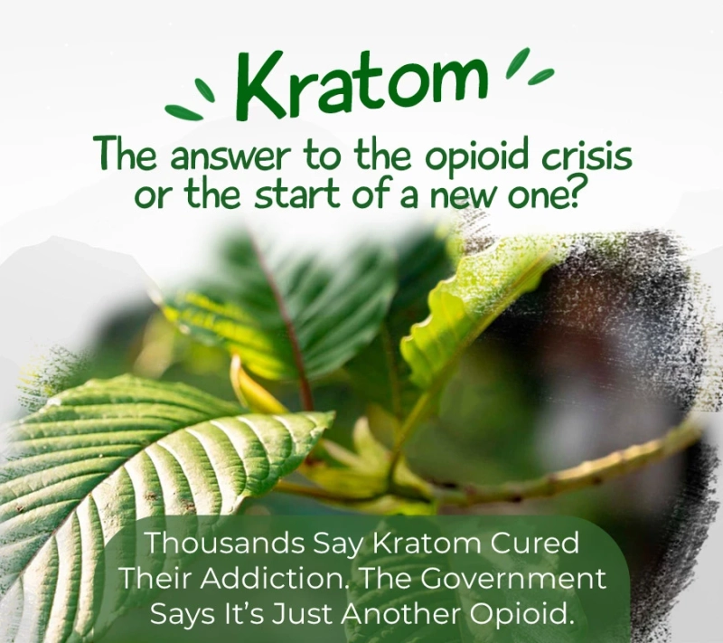 Is kratom the answer to the opioid crisis?