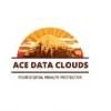 AceData offers data protection services