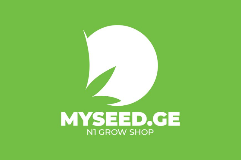 Can I buy Cannabis seeds in Tbilisi, Georgia?