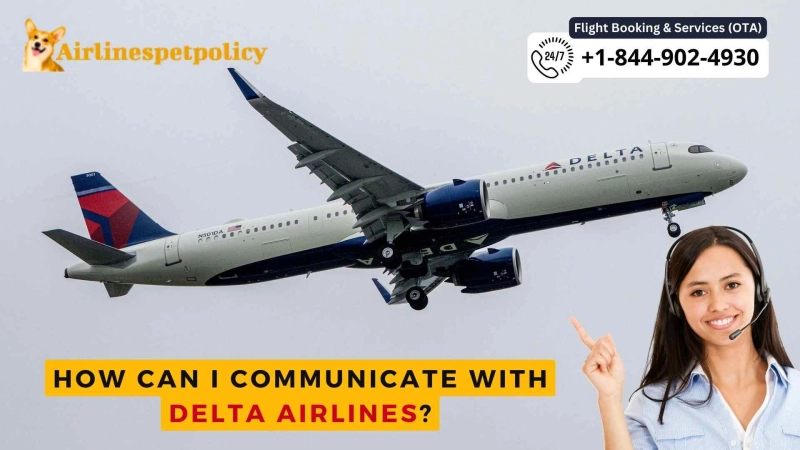 How Can I Communicate with Delta?