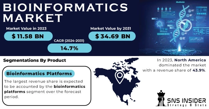 The Rising Bioinformatics Market Size: Key Drivers and Insights