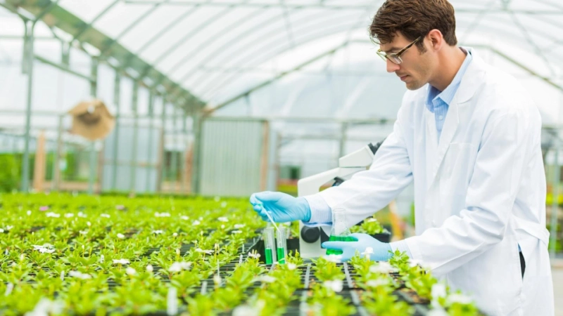 Brazil Agricultural Biologicals Market 2024-2032: Industry Overview, Size, Share, Trends, Growth and Forecast