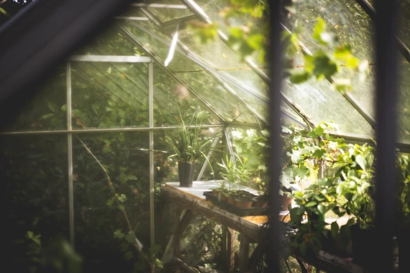 How to maintain a home garden efficiently
