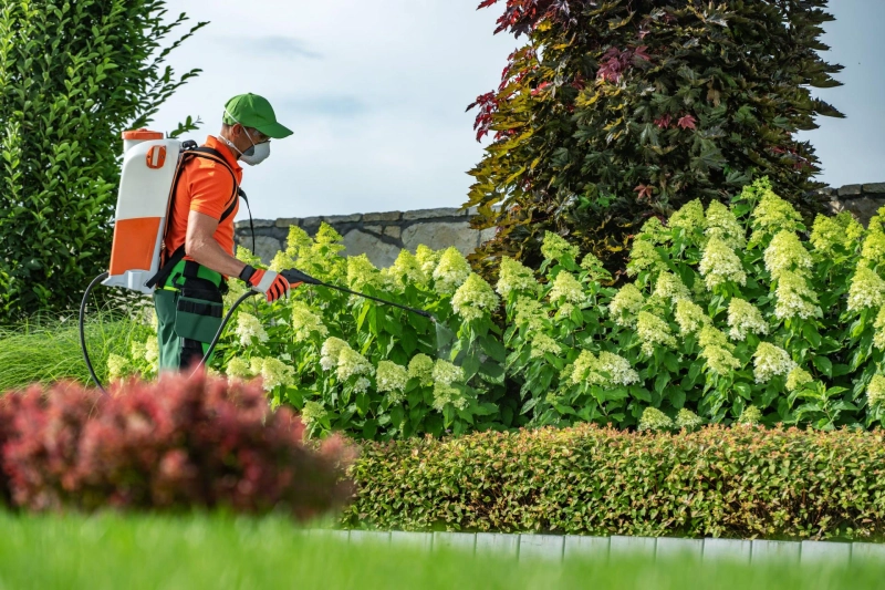 Residential Pest Control in Houston: Protecting Your Property