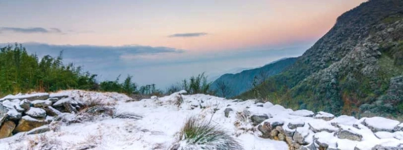 Silk Route Package Tour with NatureWings Holidays