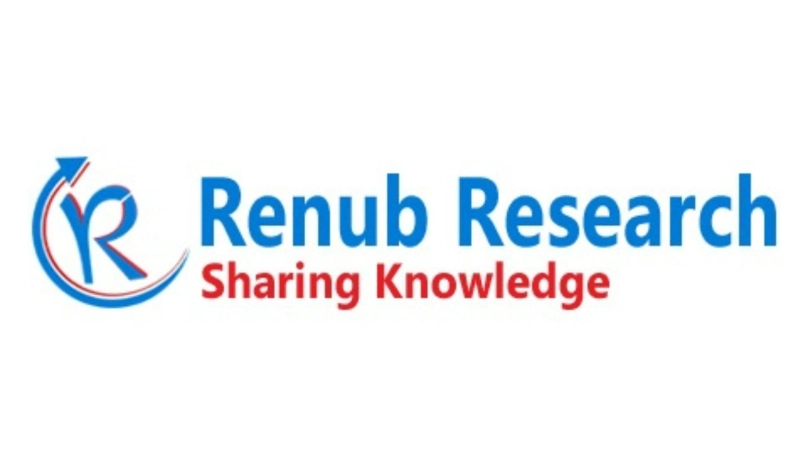 France Laptop Market Forecast 2025–2033 with Insights by Size, Type & Sector