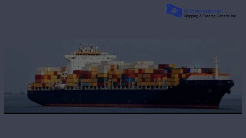 How Professional Freight Services Transformed Our Global Shipping Operations