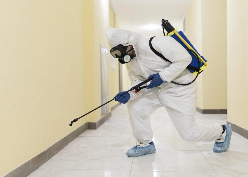 How Long Does Professional Emergency Pest Control Treatment Take