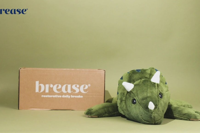 Weighted Stuffed Animal