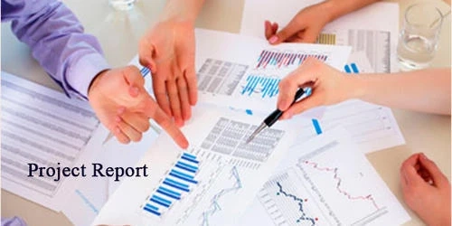 How to make a detailed project report before starting any business?