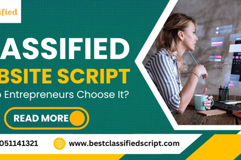 Classified Website Script: Why Do Entrepreneurs Choose It?