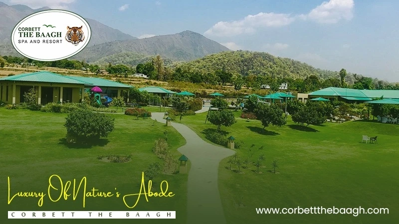Luxury of nature’s abode: corbett the baagh