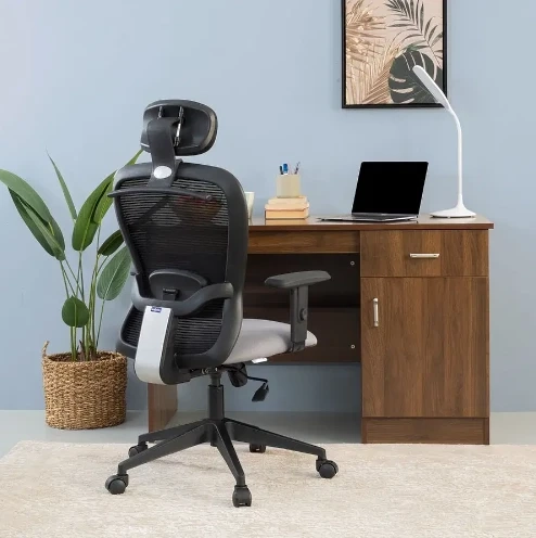 Reasons for Buy Ergonomic Office Chairs Online