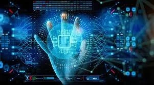 What is programming characterized organizing (SDN)?