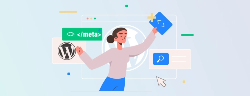 What are Meta Tags?