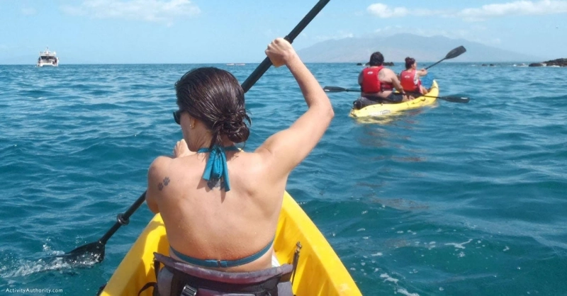 Which Maui Ocean Sports Tour Is Best — Snorkeling, Kayaking, or Whale Watching?
