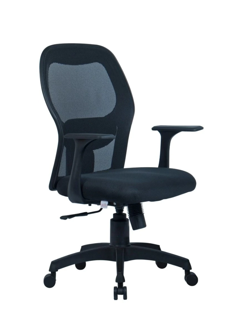 Buying Ergonomics Chairs: Supporting Medical Students Through Long Hours of Study