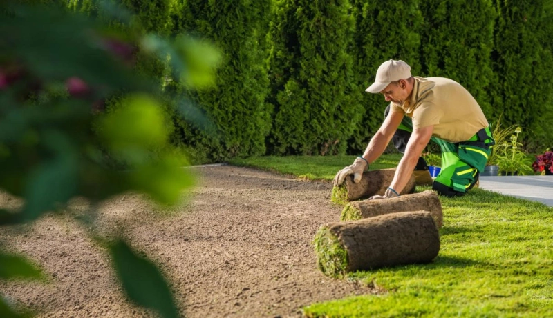 Keeping Lawns Fresh The Work of a Landscaping and Lawn Care Contractor