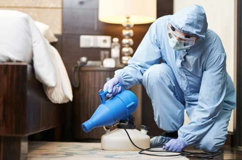 How Does Pest Control Richmond Hill Adapt Treatments for Different Property Types?