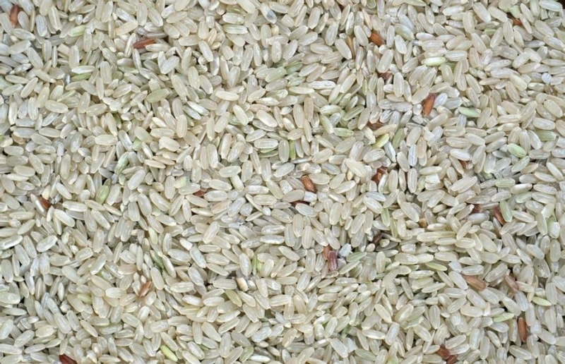 Why the Rice Exporter from India is a Global Leader in Rice Trade?