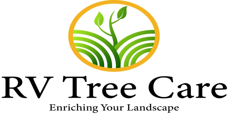 What Are the Benefits of Professional Tree Lopping Services?